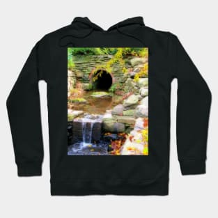 Fall at the Arboretum Hoodie